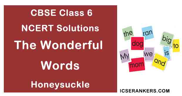 NCERT Solutions for Class 6th English Poem The Wonderful Words