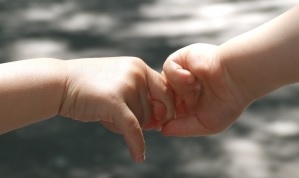 Image: Baby hands - hand by hand. Photo credit: Hajnalka Ardai  on FreeImages