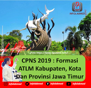 CPNS 2019 : Formasi ATLM Kabupaten, Kota Dan Provinsi Jawa Timur