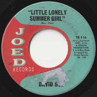 David Box - Little Lonely Summer Girl