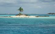 Palm Tree Island (img )