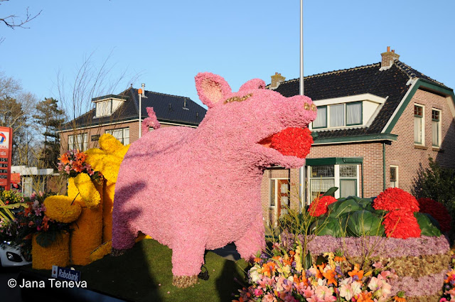 Bloemencorso 2013 Holland