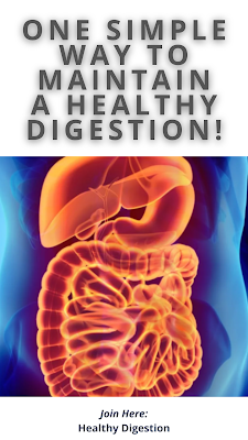 human body digestion process