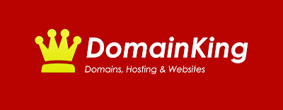 web hosting company in nigeria domainking