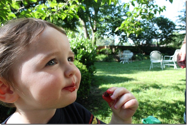 IMG_0085 IMG_0085