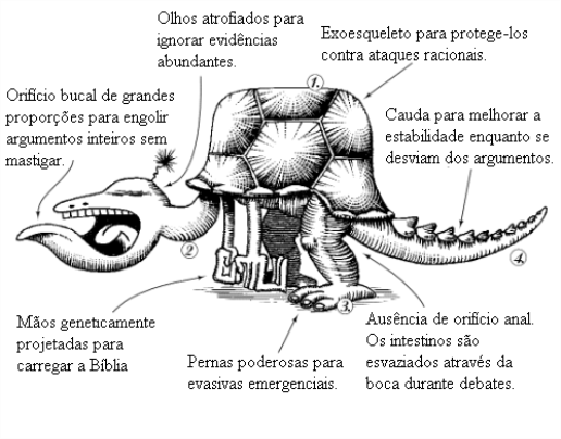  Anatomia do crente