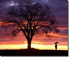 random gallery (1)