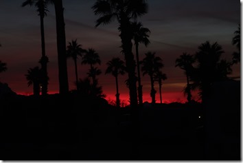 IMG_6157