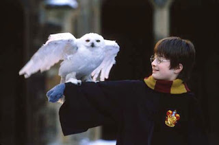 Harry Potter, avian enthusist