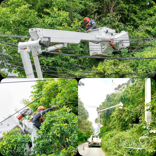 EDESUR refuerza medidas en 19 circuitos eléctricos de Barahona, Pedernales, Neiba y Jimaní por huracán Beryl
