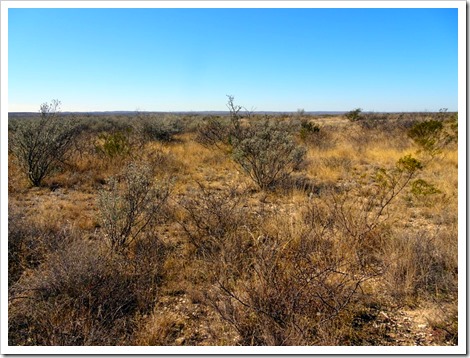 Rio Grande hiking trail. Seminole