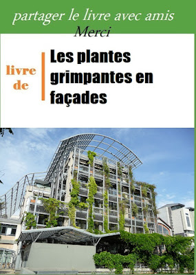 les plantes grimpantes en facades pdf gratis les plantes grimpantes en facades pdf download les plantes grimpantes en facades pdf english les plantes grimpantes en facades pdf en español les plantes grimpantes en facades pdf gratuit