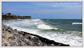 Cape San Blas, Florida-The Forgotten Coast- From My Front Porch To Yours