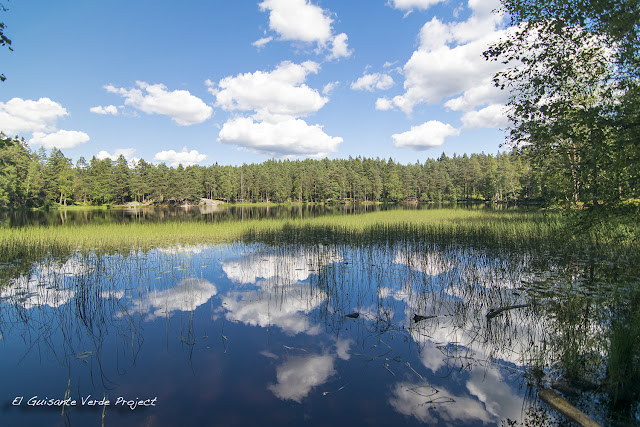 Rundvannet en Østmarka - Oslo por El Guisante Verde Project