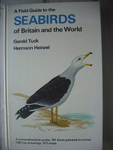 Field Guide to the Sea-birds of Britain and the World