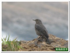 20110923_234400_018_YehLiu.MOV_snapshot_00.14_[2011.10.10_11.54.37]