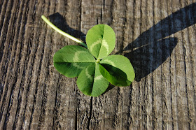  Four leaf clover