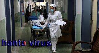  فيروس هانتا hanta virus