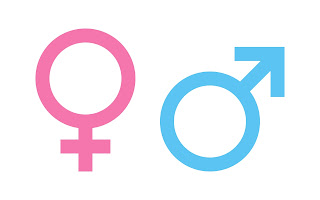 Male and Female