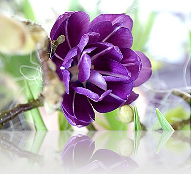 blog 11