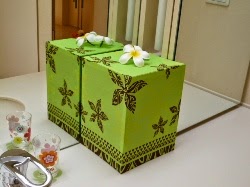 20080623-大鹿鏡.JPG