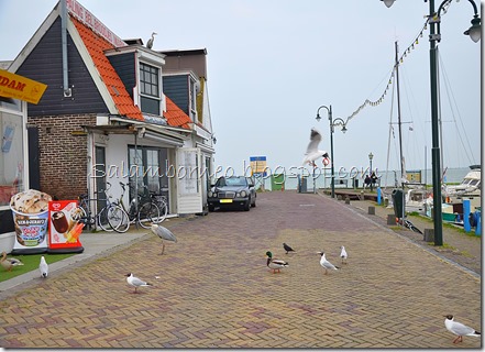 DSC_0777a