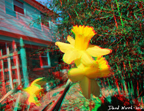 3D Flower out of Screen