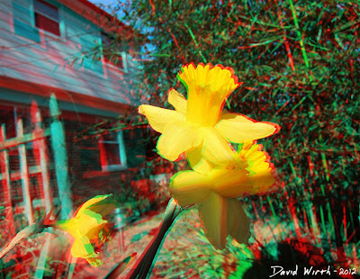 3D Flower out of Screen