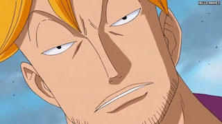 ワンピースアニメ 頂上戦争編 471話 不死鳥マルコ Marco the Phoenix | ONE PIECE Episode 471