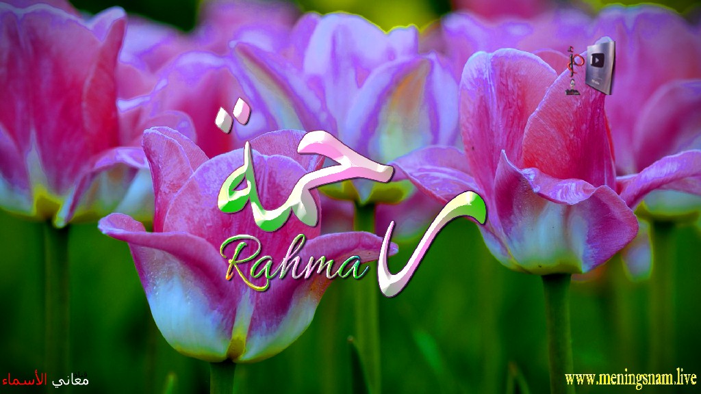 معنى اسم, رحمة, وصفات, حاملة, هذا الاسم, Rahma,