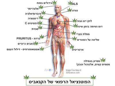 היעילות הרפואית של הקנאביס