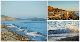 view of cattle point lighthouse from south beach, san juan island