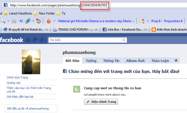 likebox3 Hướng dẫn tạo Facebook Like/Fan box cho blogger