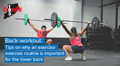 Back Workout : Tips On Why An Exercise Routine Is Important For The Lower Back