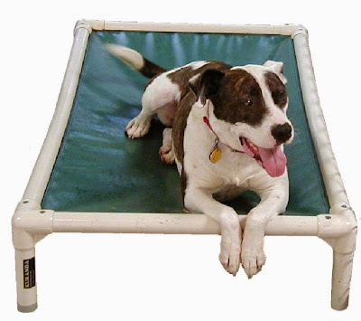 indestructible dog bed