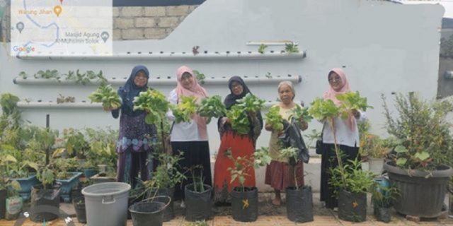 Dinas Pangan Kota Solok Panen Perdana Sayuran di Gang Hijau Kelurahan PPA