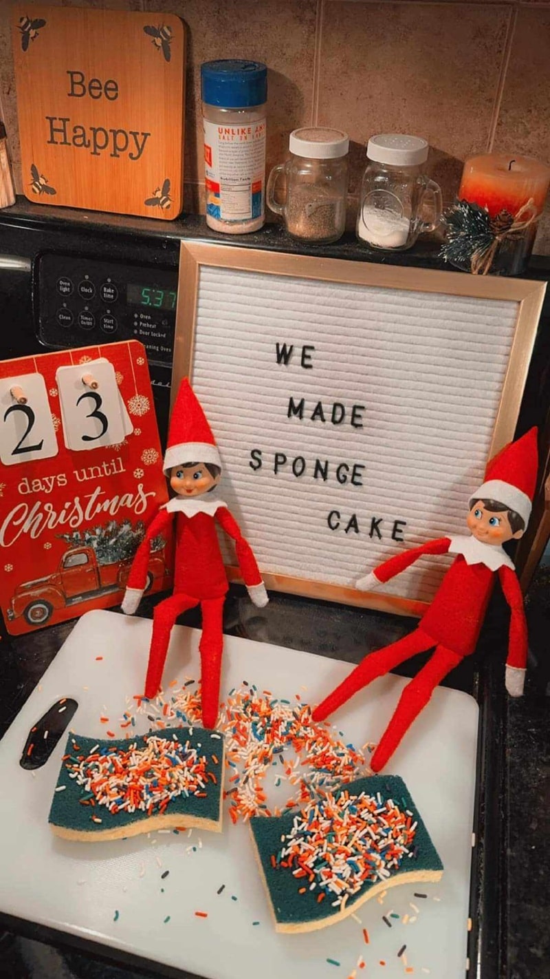 elf made a sponge cake.