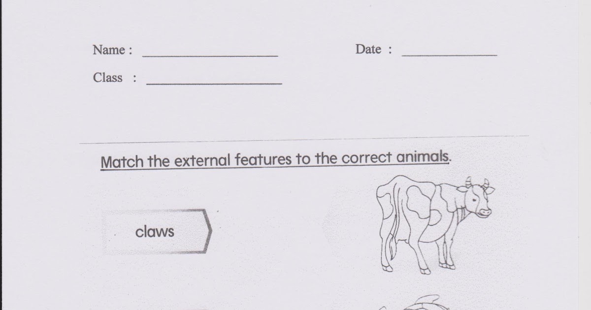 welcome to science year 3 worksheet