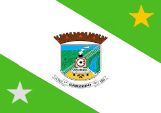 Bandeira de Sarzedo MG
