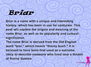 meaning of the name "Briar"