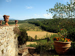 Semester in Siena