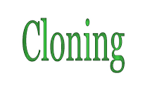 CARA CLONING BLOGSPOT DENGAN XML