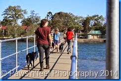 IMG_0030