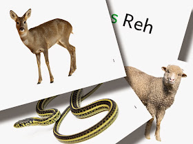 DaZ Material Tiere Bildkarten zur Sprachförderung kostenlos download