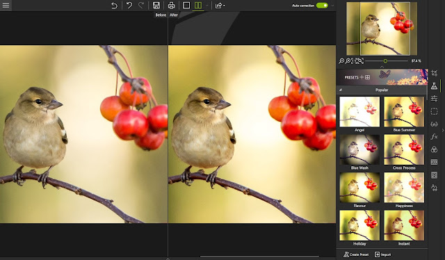 Download InPixio Photo Editor v10.4.7625.29543 Full Version