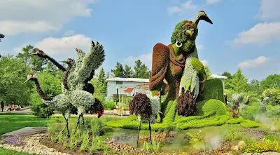 Botanical Garden of Montreal