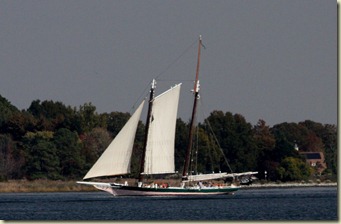 sandyIMG_1453