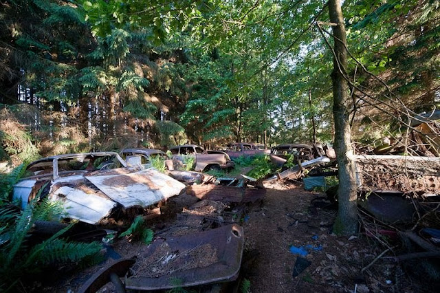 cementerio autos bosque Chatillon Bélgica