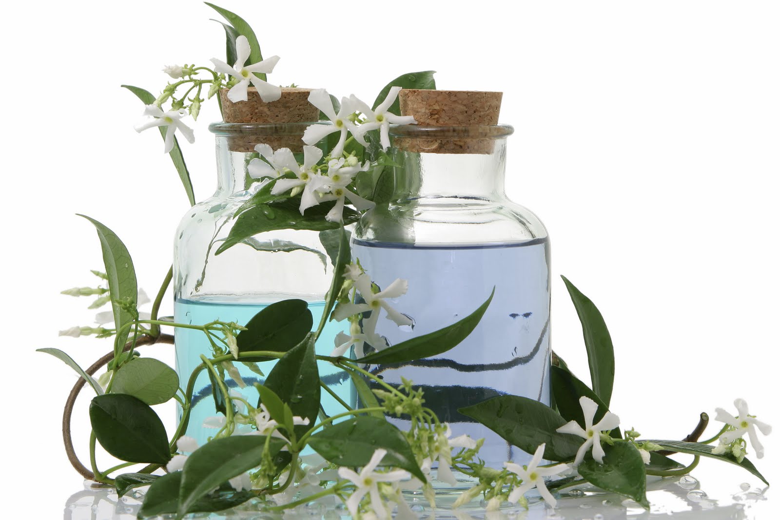 Jasmine aromatherapy oil, Jasmine aromatherapy benefits, Jasmine aromatherapy center