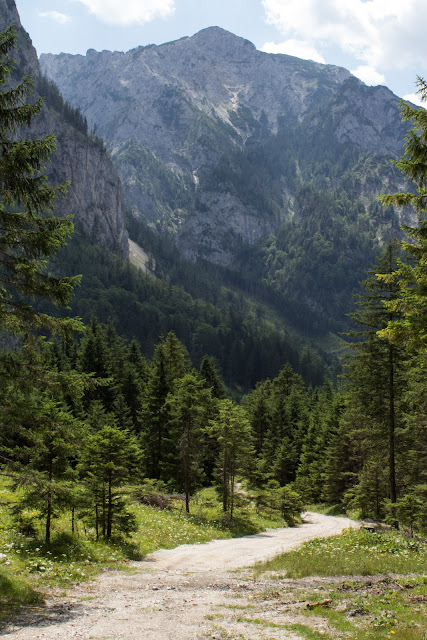 Zweitägige Wanderung von der Gsollkehre in Eisenerz über die Gsollalm zum Brandstein und weiter über Fobisalm und Hinterseeau zum Leopoldsteinersee